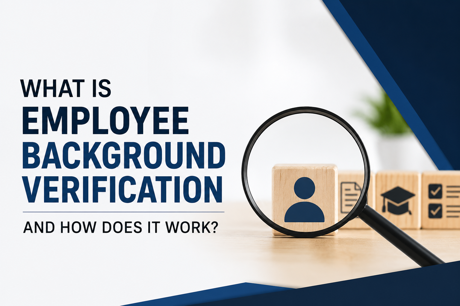 What is employee Background Verfication What is employee Background Verfication